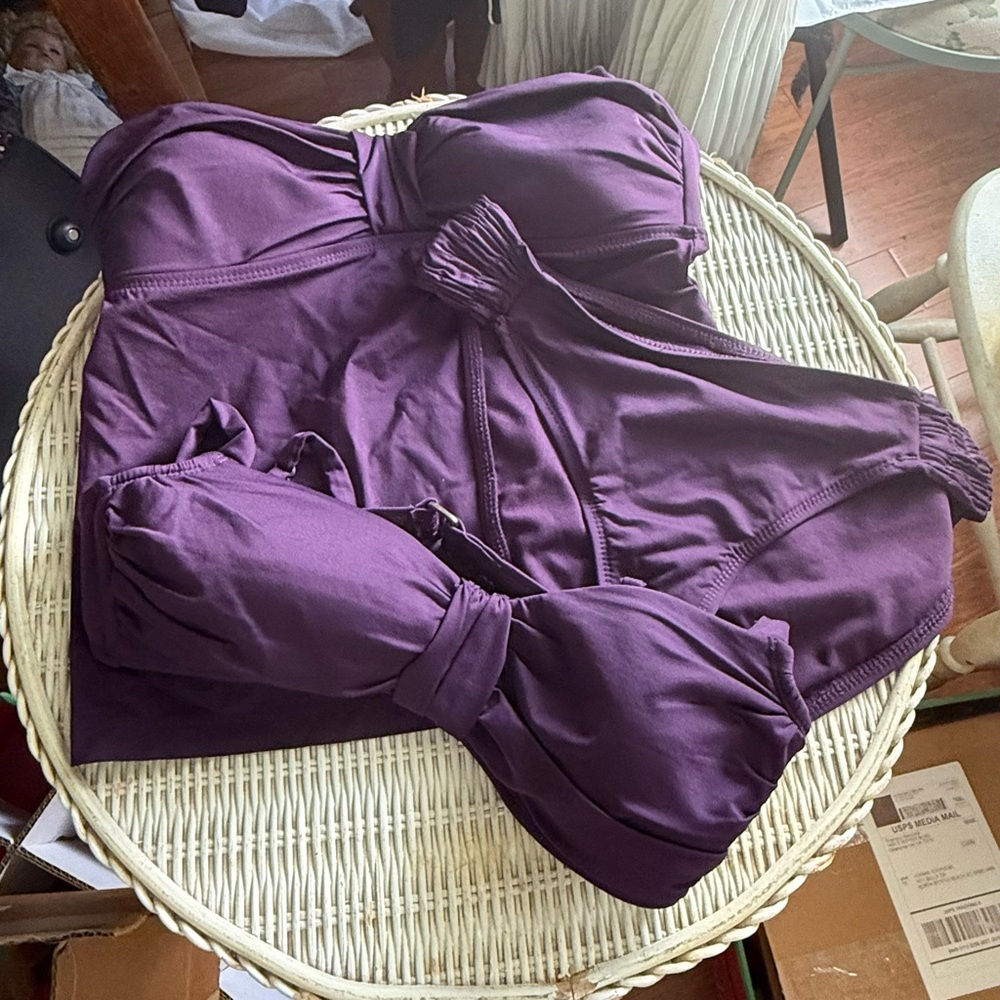 Bisou Bisou Rich Purple swimsuit NWOT